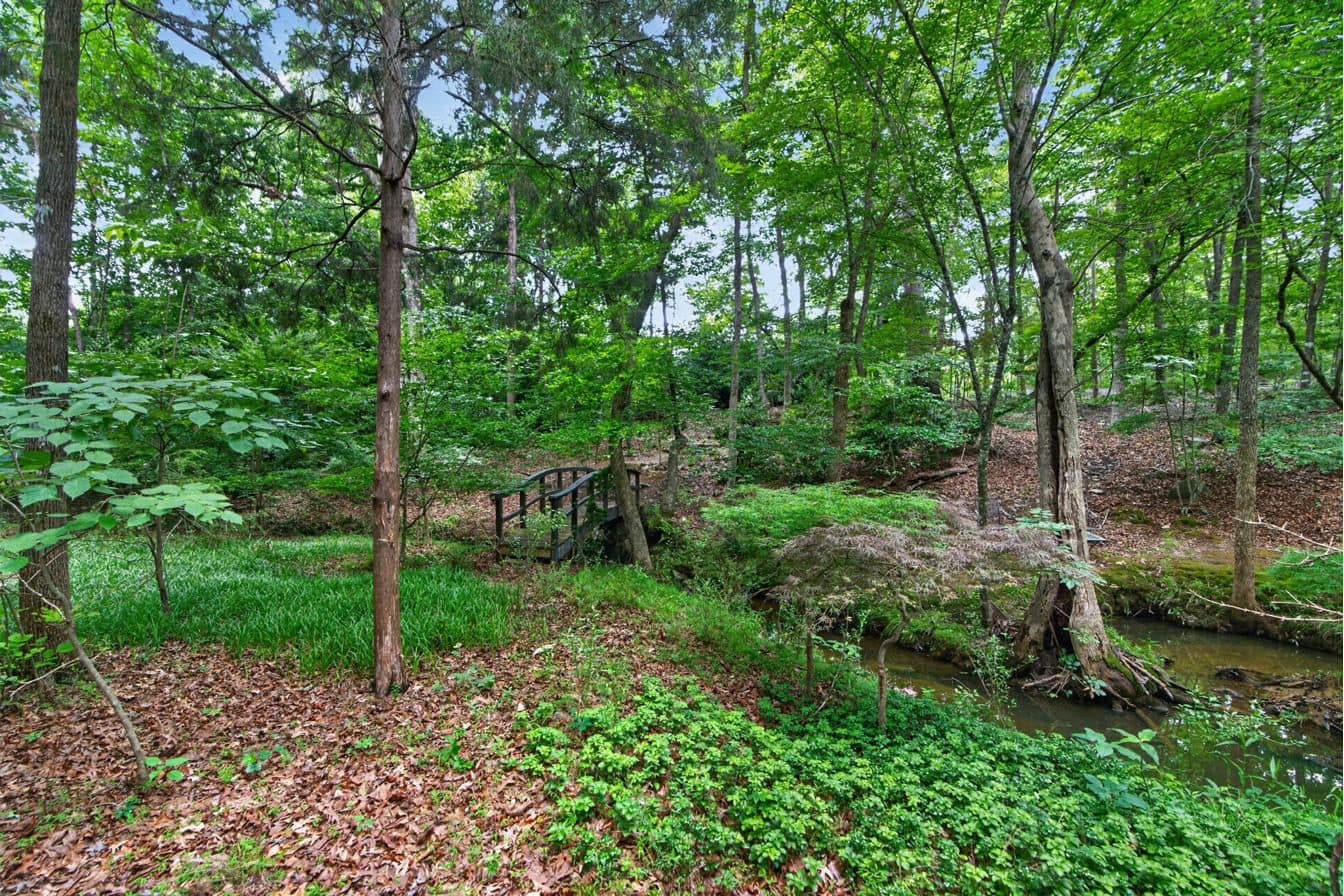 Creek running through the rear compound parcel at The Whitney Sanctuary